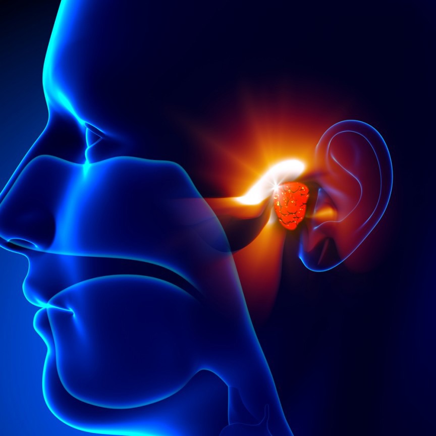 С 3 апреля по 5 апреля 2019 года ОБУЧАЮЩИЙ СЕРТИФИКАЦИОННЫЙ ПРАКТИЧЕСКИЙ КУРС «Диагностика и лечение заболеваний, сопровождающихся нарушением слуха и головокружением»